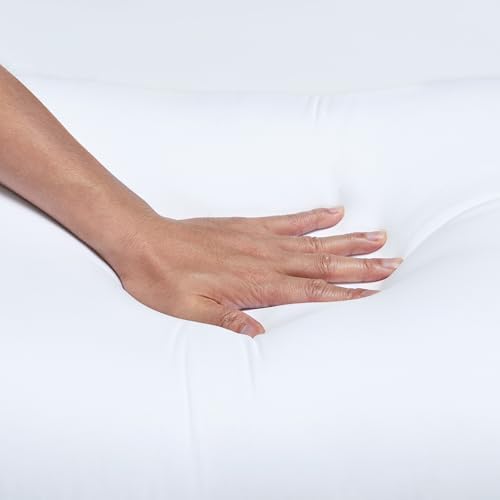 Amazon Basics Down Alternative Pillow Set with Protector Cases 2-Piece