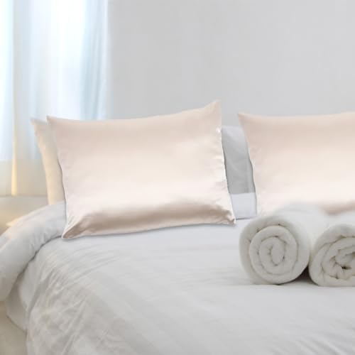 Cabilock 2pcs Silk Pillowcases Twin Size Beige Pillow Covers