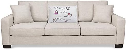 EKOBLA Funny Cat Throw Pillow Cover 20x30 Inch