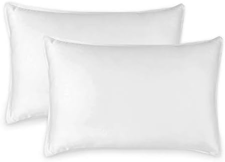 Pure Bamboo Queen Pillowcases 100 Organic Viscose Soft Cooling 2 Piece Set