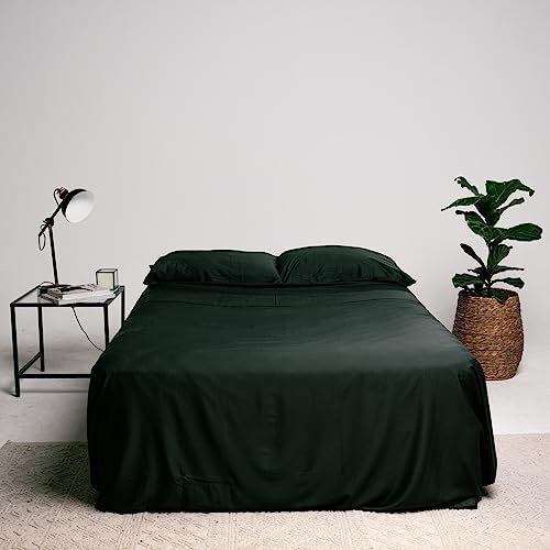 THE LAD COLLECTIVE 20 Bedding Set 4 Piece Twin XL Cotton Sheet Set