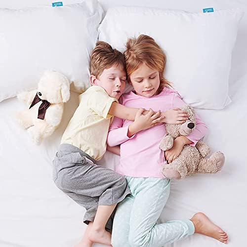 Biloban Pillow Protector 2 Pack 20x26 Inches Waterproof Noiseless 1
