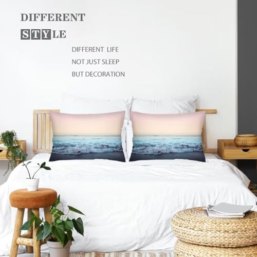 Ocean Theme Throw Pillow Cover Set of 2 20x30