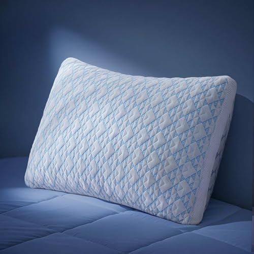 Lyralith Shredded Memory Foam Cooling Pillow Queen Size