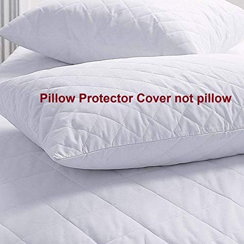 hi Flipper 100 Cotton Pillow Protector Set of 2
