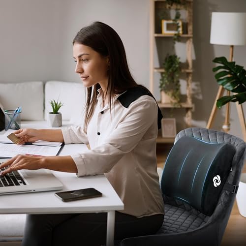 Samsonite Premium Plush Lumbar Support Pillow for Chair