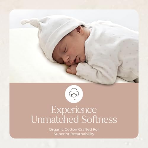 Organic Cotton Pillow Protectors - 2 Pack GOTS Certified