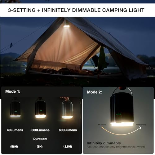 Origem Portable Air Pump with Camping Light and 5 Nozzles
