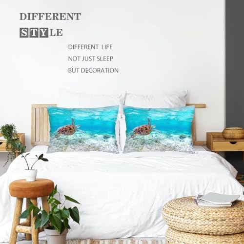DINJUNA Sea Turtle Throw Pillow Cover Set of 2 Aqua Blue