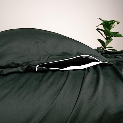 THE LAD COLLECTIVE 20 Bedding Set 4 Piece Twin XL Cotton Sheet Set