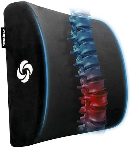 Samsonite Premium Plush Lumbar Support Pillow for Chair