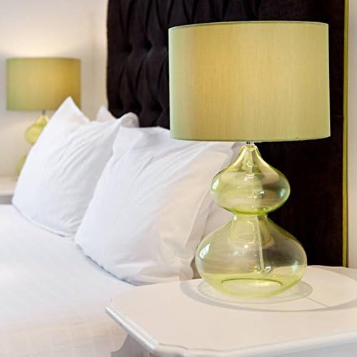 CAROMIO 4-Pack Zippered Pillow Protectors 1