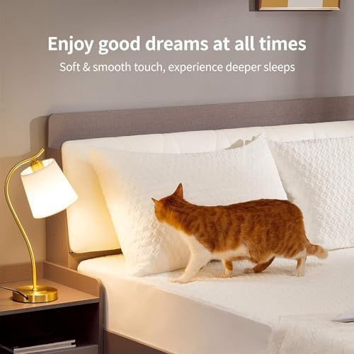 CoolShields Pillow Protector 2 Pack - Waterproof Zippered Hypoallergenic Breathable