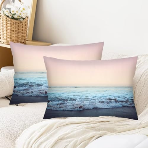 Ocean Theme Throw Pillow Cover Set of 2 20x30
