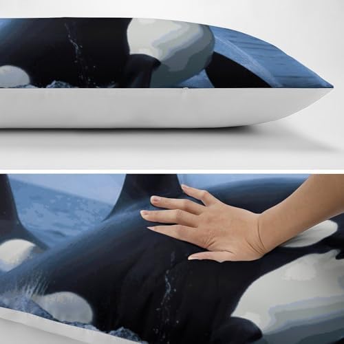 KLWQR Body Pillow Cover with Zipper 189x531 Inch