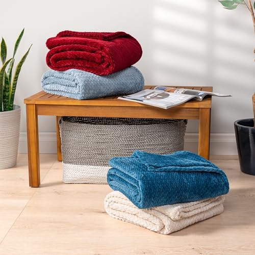 PAVILIA Dusty Blue Microfiber Throw Blanket 60x80 Inch