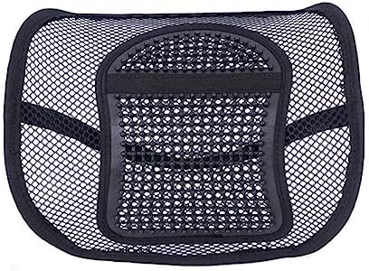 Ochine Lumbar Support Pillow with Breathable Mesh