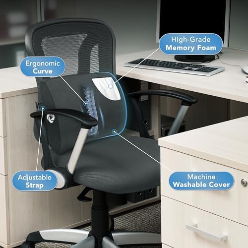Samsonite Premium Plush Lumbar Support Pillow for Chair