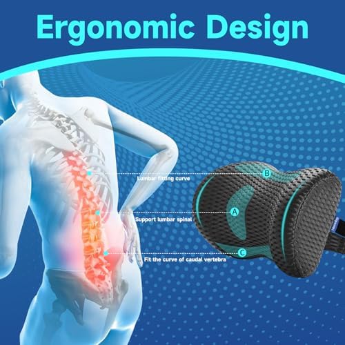 Niceeday Lumbar Support Pillow for Office Chair and Car