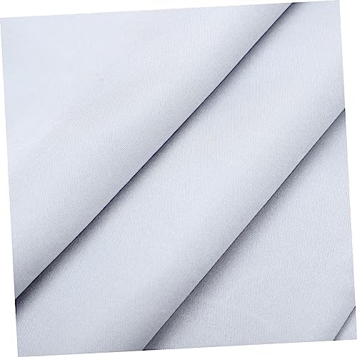 2pcs Solid Color Polyester Pillowcases