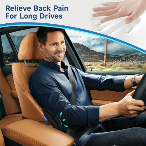 Niceeday Lumbar Support Pillow for Office Chair and Car