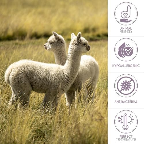 100 Baby Alpaca Throw Blanket White Natural Collection 51x71
