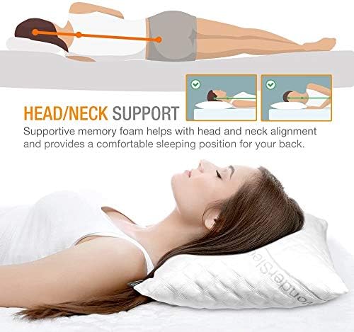 WonderSleep Adjustable Loft-Shredded Memory Foam Pillow Set of 2